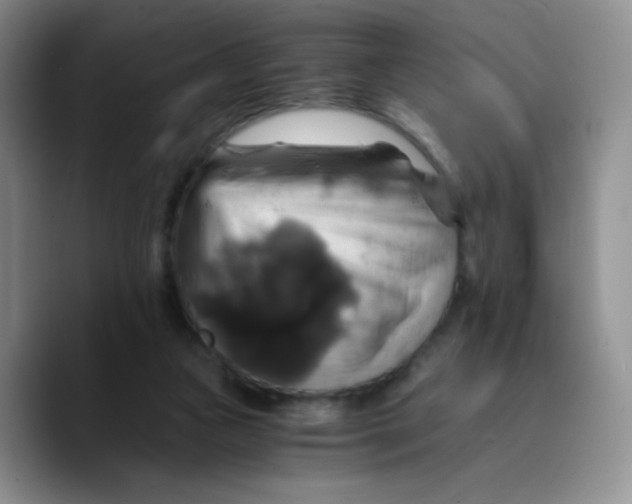 X0000089730161200707201848