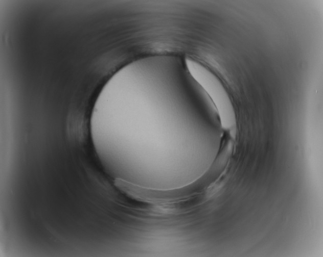X0000089730164200707201848