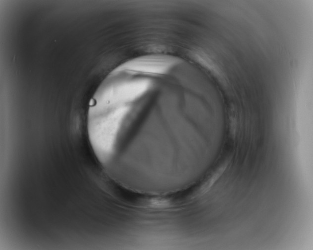 X0000089730165200707201848