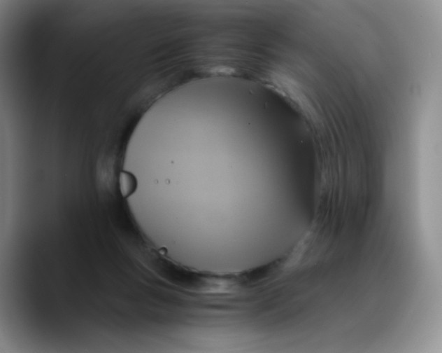 X0000089730167200707201848