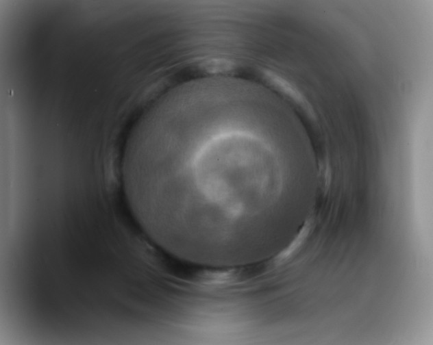 X0000089730170200707201848