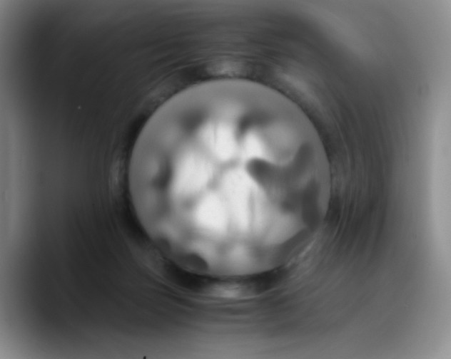 X0000089730171200707201848