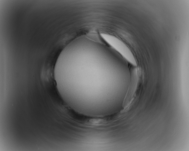 X0000089730172200707201848