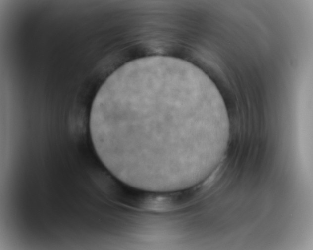 X0000089730174200707201848