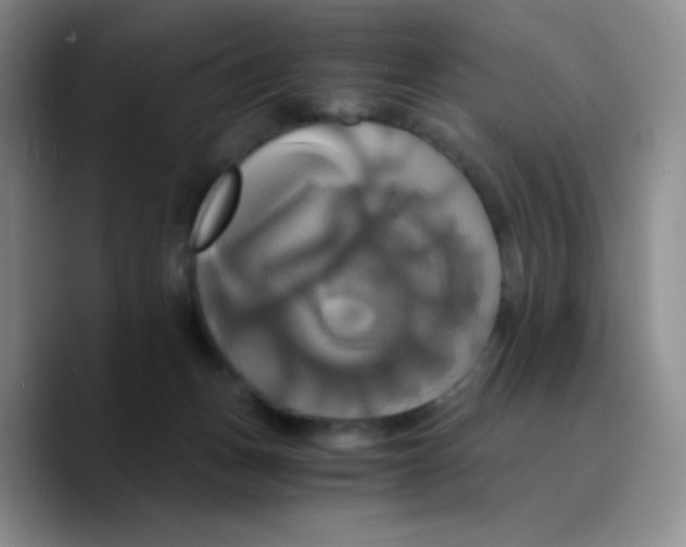 X0000089730175200707201848