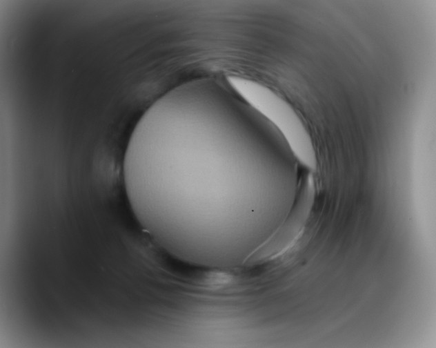X0000089730176200707201848