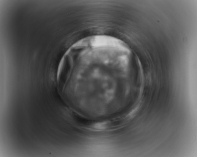 X0000089730178200707201848