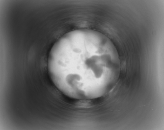 X0000089730179200707201848