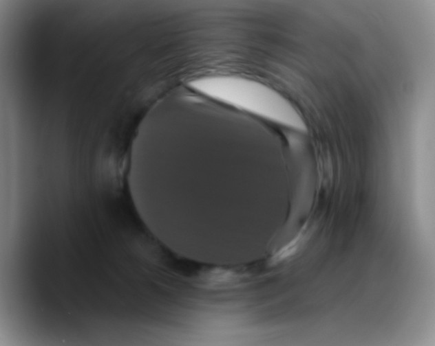 X0000089730180200707201848