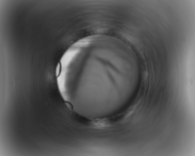 X0000089730181200707201848