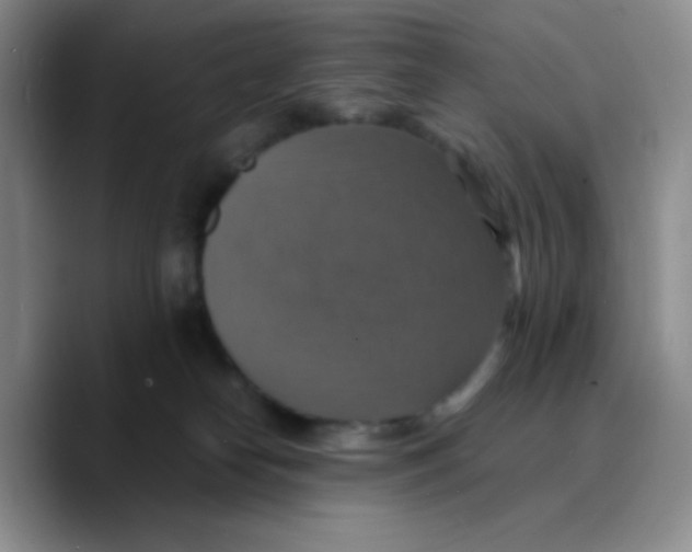 X0000089730182200707201848
