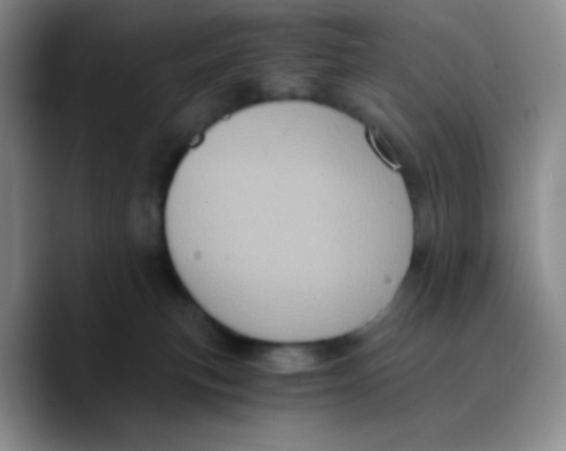 X0000089730183200707201849