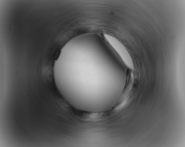 X0000089730184200707201849