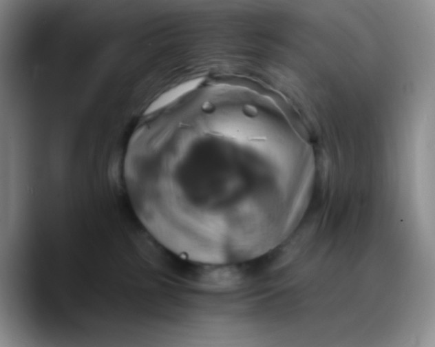 X0000089730185200707201849
