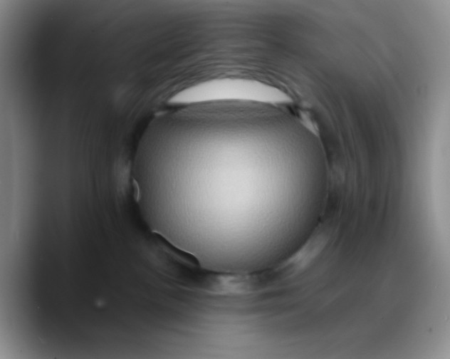 X0000089730188200707201849