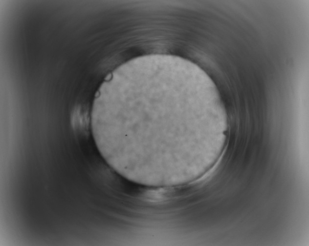 X0000089730190200707201849