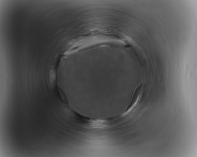 X0000089730192200707201849