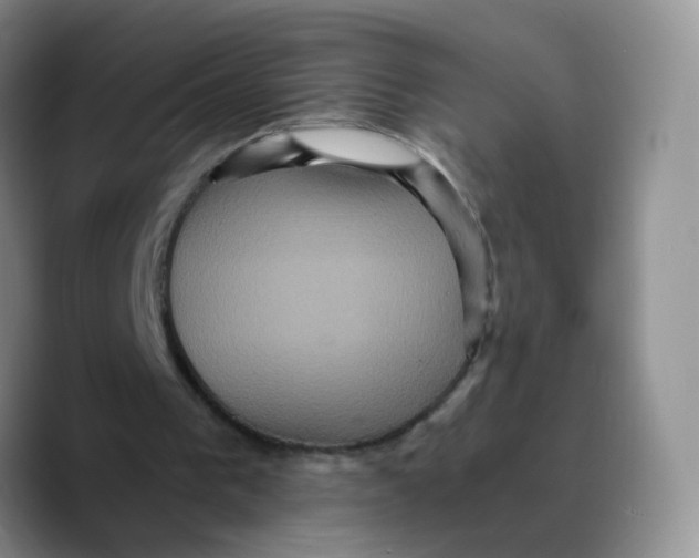 X0000089730193200707201848