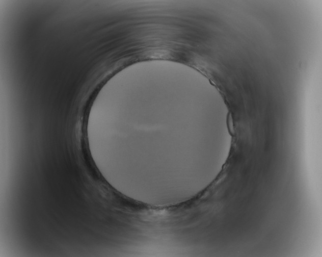 X0000089730194200707201848