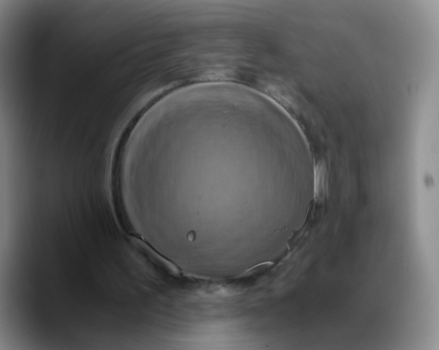 X0000089730195200707201848