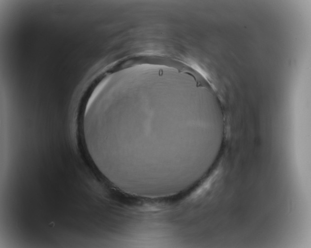 X0000089730199200707201848