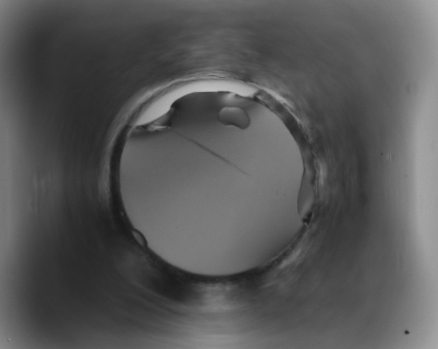 X0000089730200200707201848