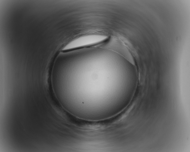 X0000089730201200707201848