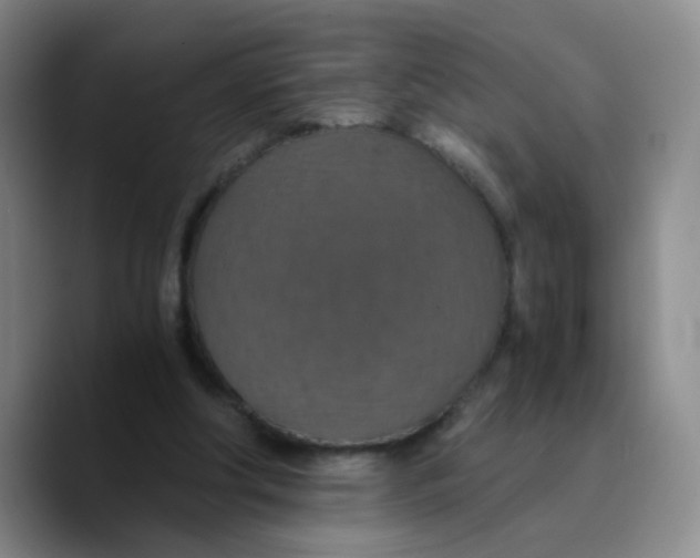 X0000089730202200707201848
