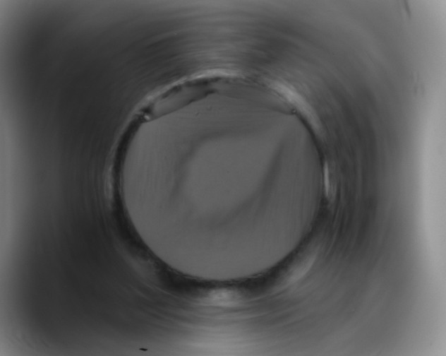 X0000089730204200707201848