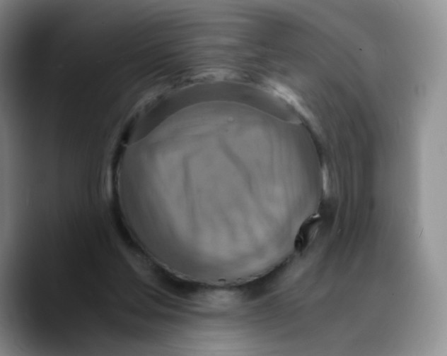 X0000089730205200707201848