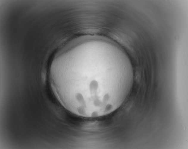 X0000089730206200707201848