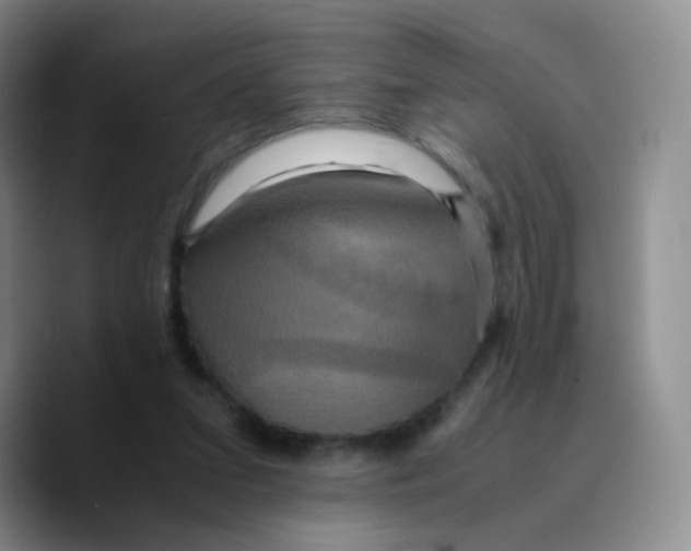 X0000089730207200707201848