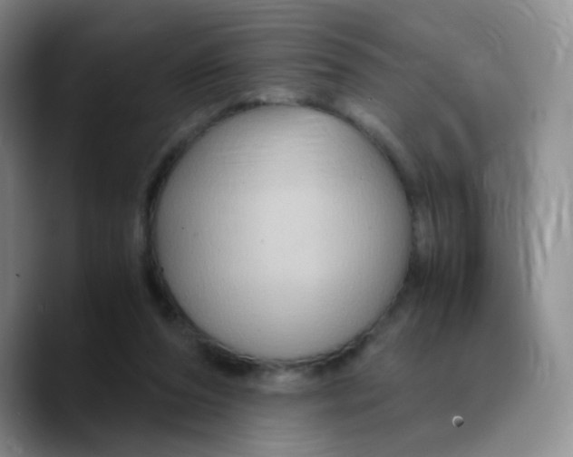 X0000089730208200707201848