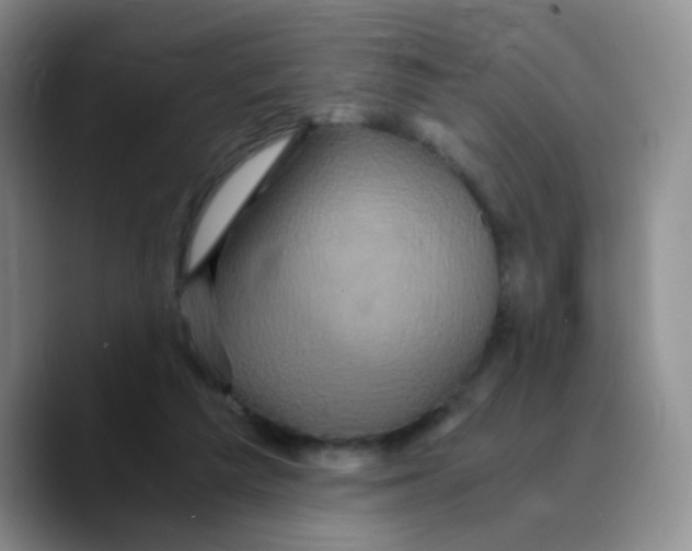 X0000089730209200707201848