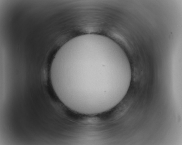 X0000089730210200707201848
