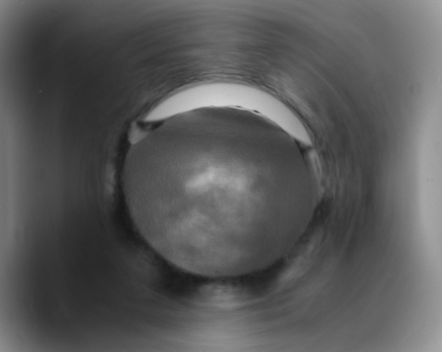 X0000089730211200707201848