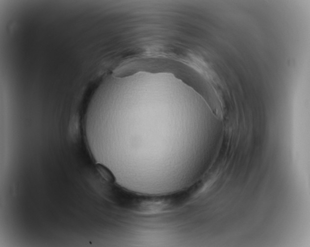 X0000089730213200707201848