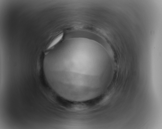 X0000089730215200707201848