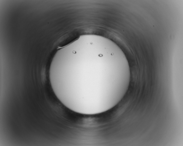 X0000089730216200707201848