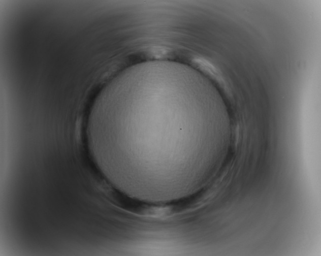 X0000089730217200707201848