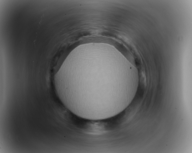 X0000089730221200707201848