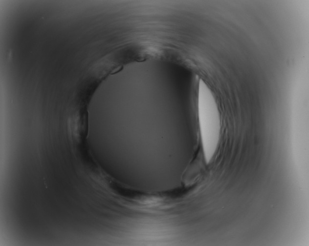 X0000089730223200707201848