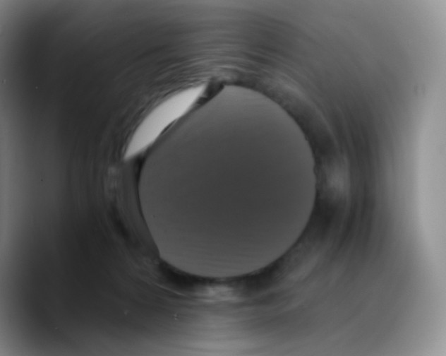 X0000089730224200707201848