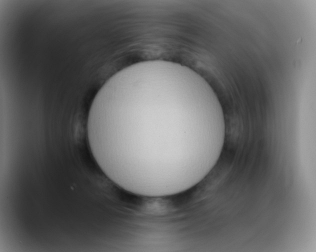 X0000089730226200707201848