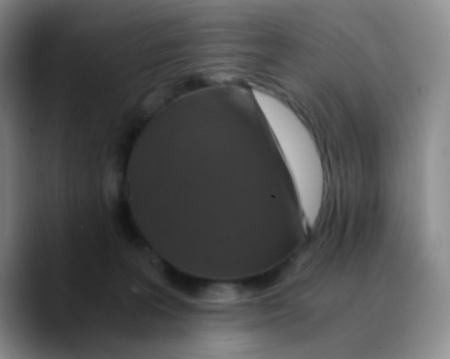 X0000089730227200707201848