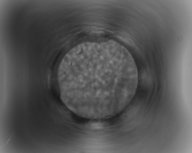 X0000089730228200707201848