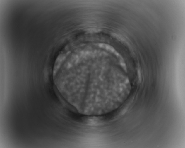 X0000089730229200707201848