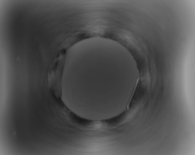 X0000089730231200707201847