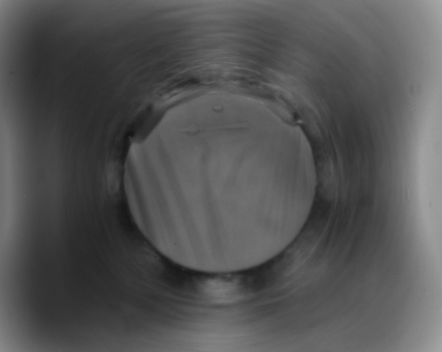 X0000089730232200707201847