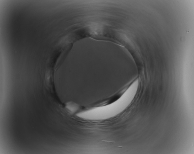 X0000089730233200707201847